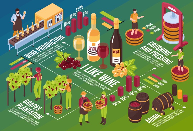 Wine production isometric flowchart Royalty Free Vector