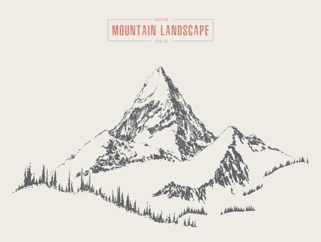 Mountain lake pine forest style hand drawn Vector Image