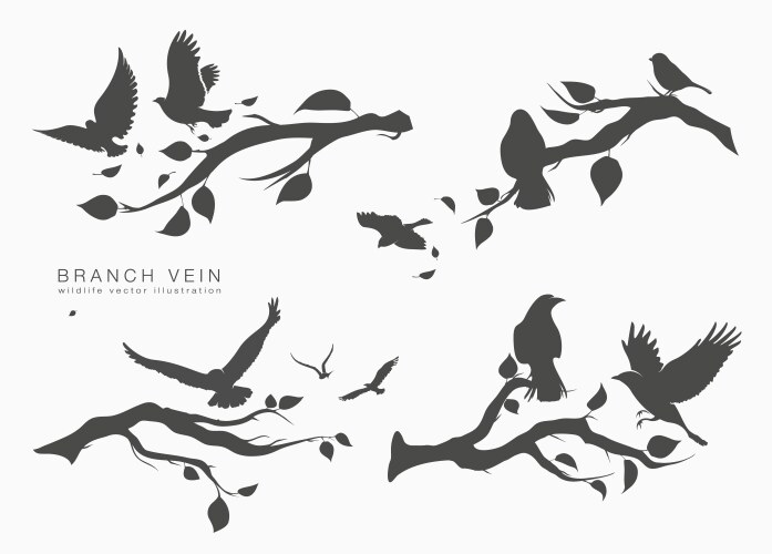 Flying Birds on Branch Vector Image