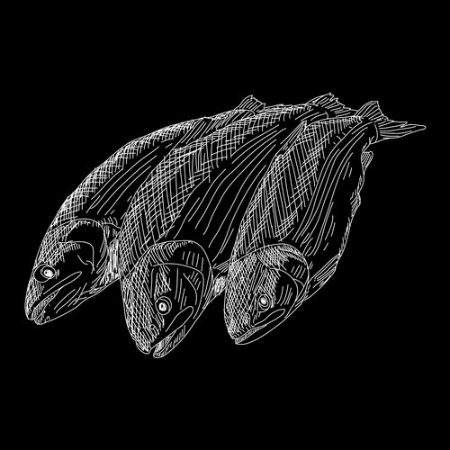 Drawing hand fish Vector Image