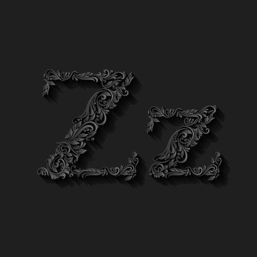 decorated letter z vector image