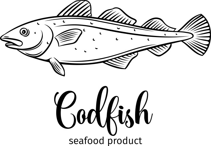 Codfish vector image