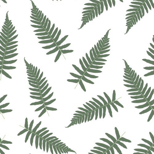 Fern tropical forest plant leaves seamless Vector Image