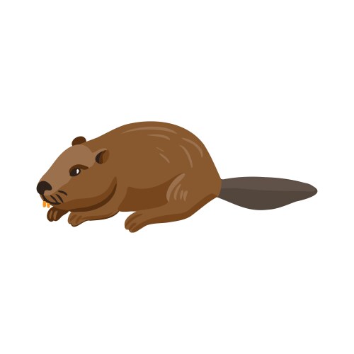 Drawing beaver animal vector image