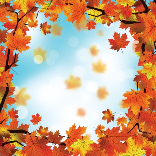 Autumnal leaf of maple and sunlight eps 10 Vector Image