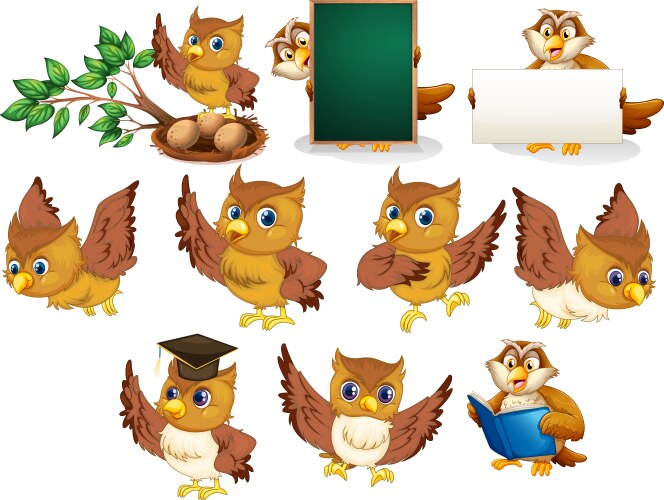 Brown owl in different poses on white background vector image