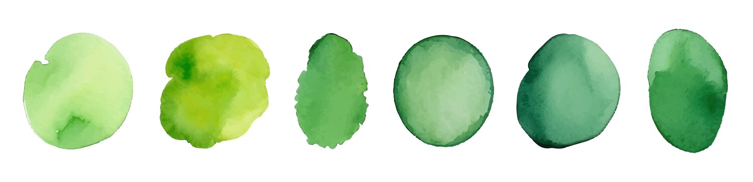 Green watercolor circle stain paint brush grunge Vector Image
