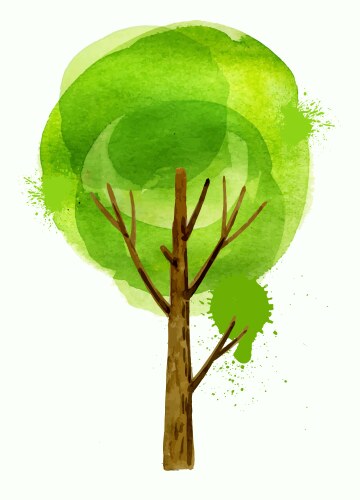Hand drawn tree Royalty Free Vector Image - VectorStock