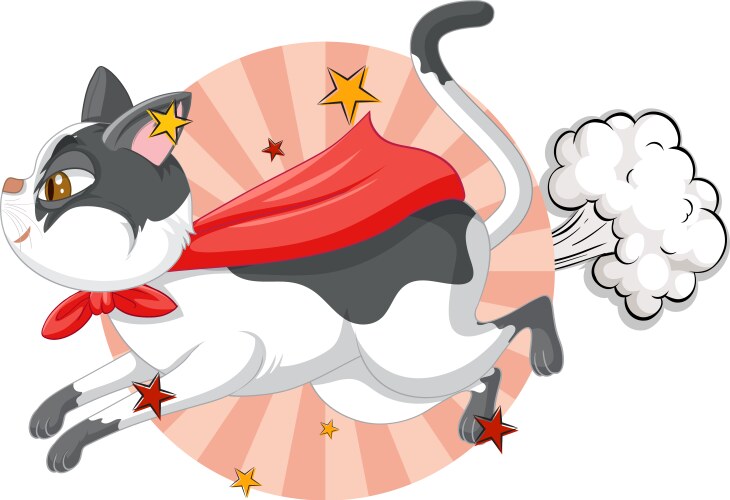 A cat superhero on sky background vector image