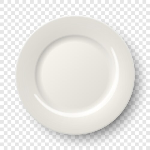 3d realistic ceramic porcelain empty dish vector image