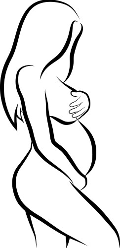 Pregnant Woman Sketch Vector Image
