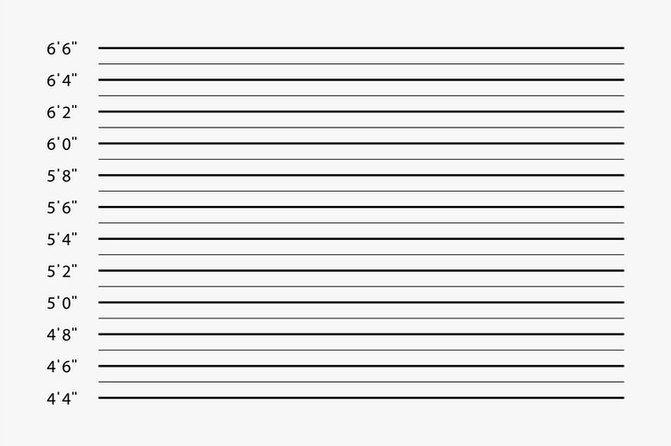 Police line up background mug shot template Vector Image