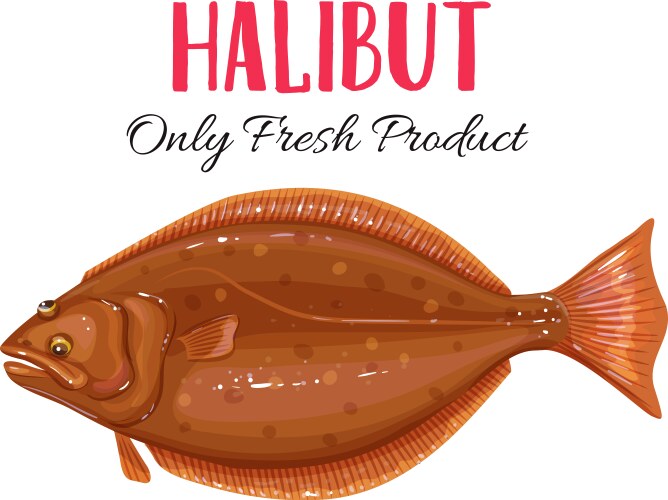 Flounder fish cartoon Royalty Free Vector Image