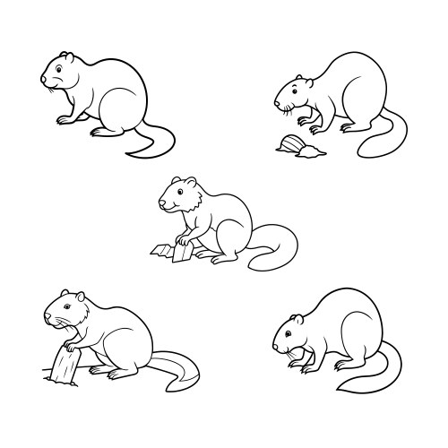 Beaver crouching line art Royalty Free Vector Image