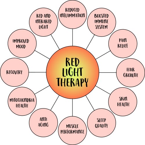 Benefits of red light therapy - mind map vector image