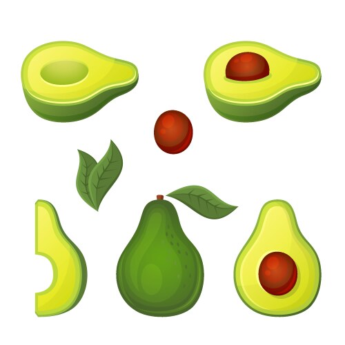 Green avocado set on white background cartoon vector image