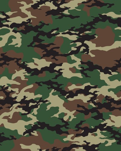Woodland army camouflage seamless pattern Vector Image