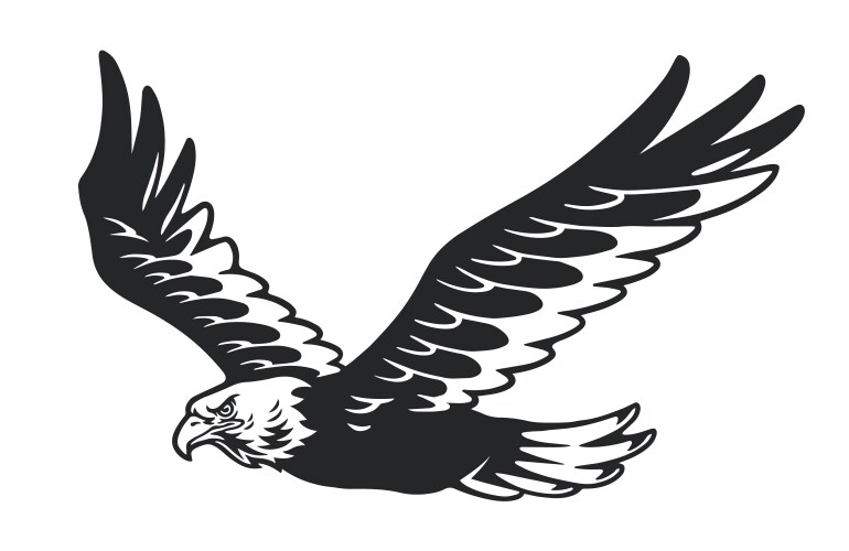 Eagle soaring in the blue sky Vector Image