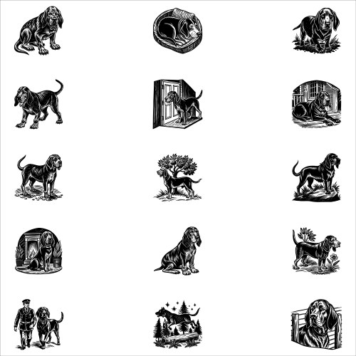 Bloodhound dog Vector Image