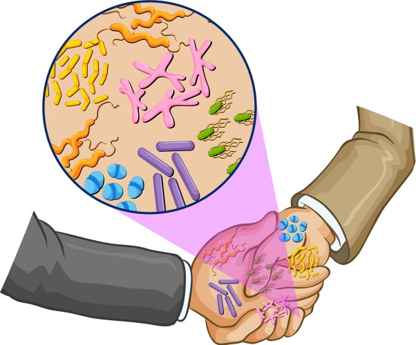 Bacteria when shaking hands Vector Image