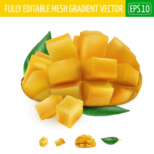 Cube sliced fresh mango with green leaves vector image