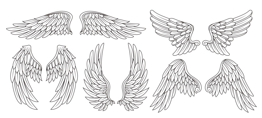 Linear Angel Wings Vector Image