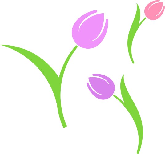 Bouquet of pink tulip flowers and green umbrella Vector Image