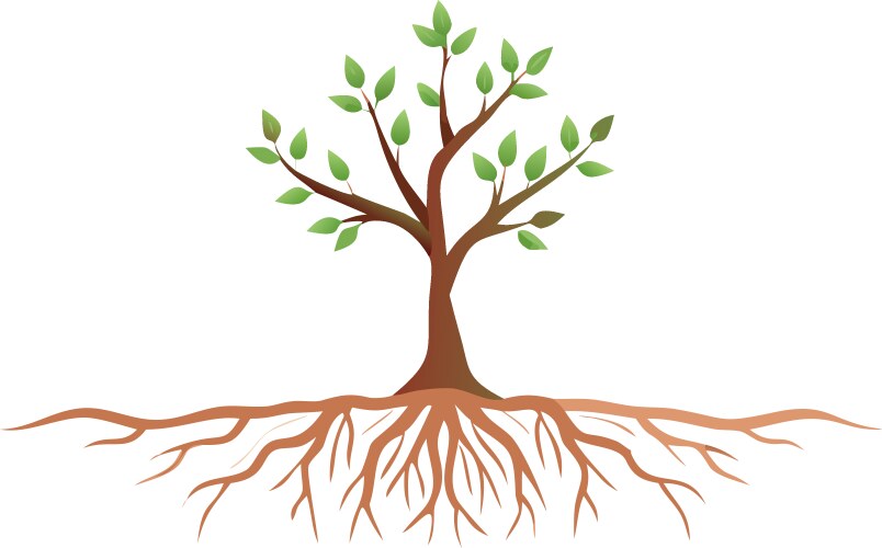 Exposed Tree Roots – Natural Resilience Vector Image