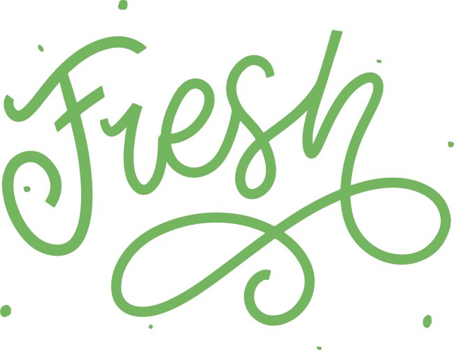 Fresh word hand lettering handmade calligraphy vector image