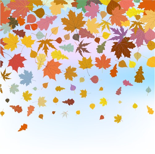 Autumn Leaves Against Blue Sky Vector Image