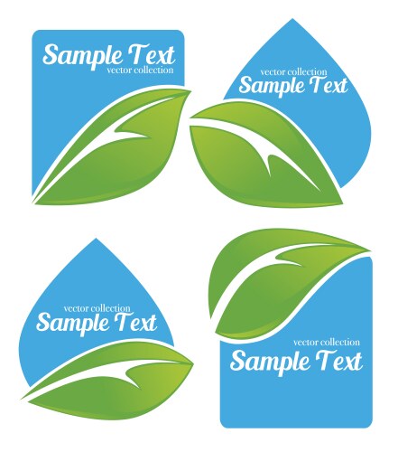 Doodle organic leaves emblems elements frames Vector Image