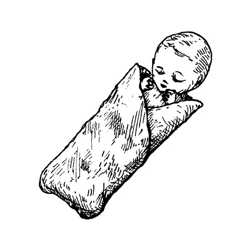Shawarma with cute baby inside Vector Image