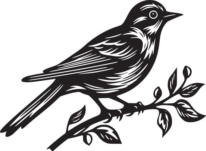 Robin bird - black and white Royalty Free Vector Image