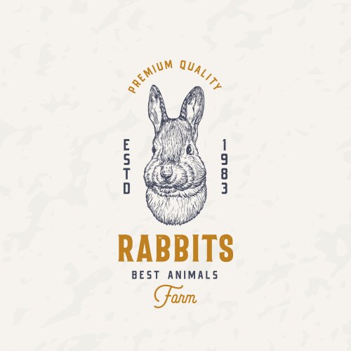 Engraving rabbit Royalty Free Vector Image - VectorStock