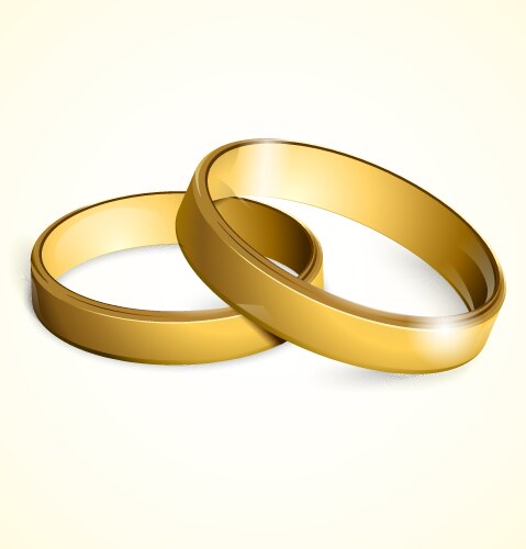 Golden wedding rings vector image