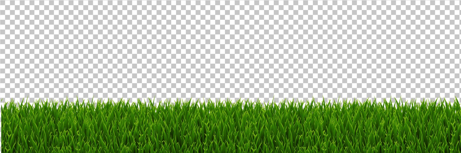 Green grass border transparent background Vector Image