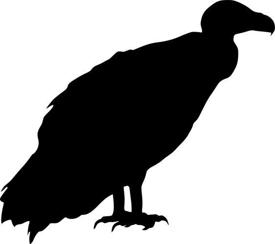 Vulture Silhouette Vector Image