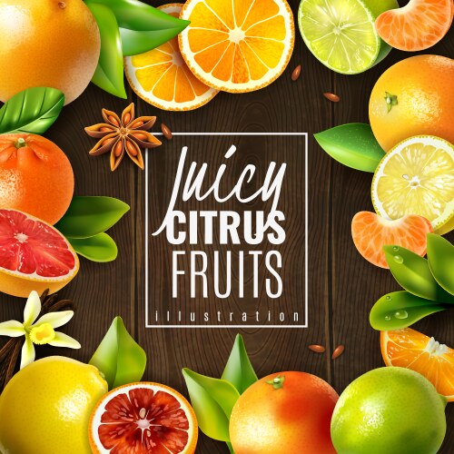 Citrus fruit set Royalty Free Vector Image - VectorStock