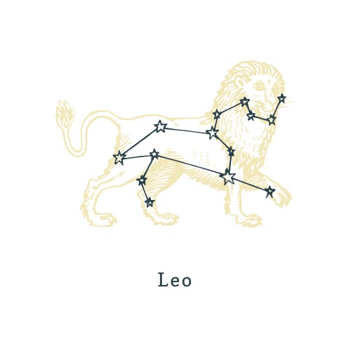 Zodiacal constellation leo on background Vector Image