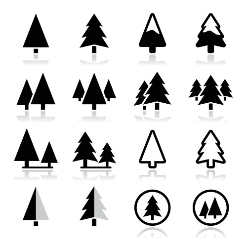 Pine Tree Icon Set (16304078) – Royalty-Free Vector | VectorStock