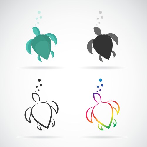 Turtle Royalty Free Vector Image - VectorStock