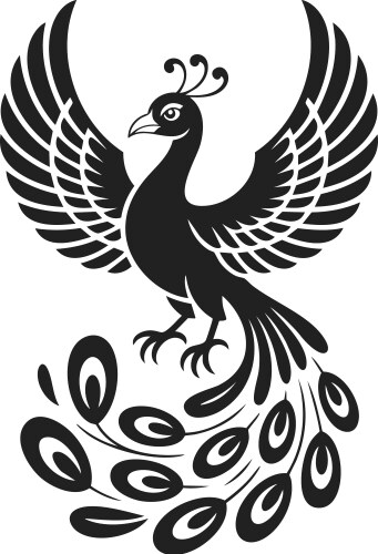 Mythical Simorgh Bird Drawing – Royalty-Free Vector | VectorStock