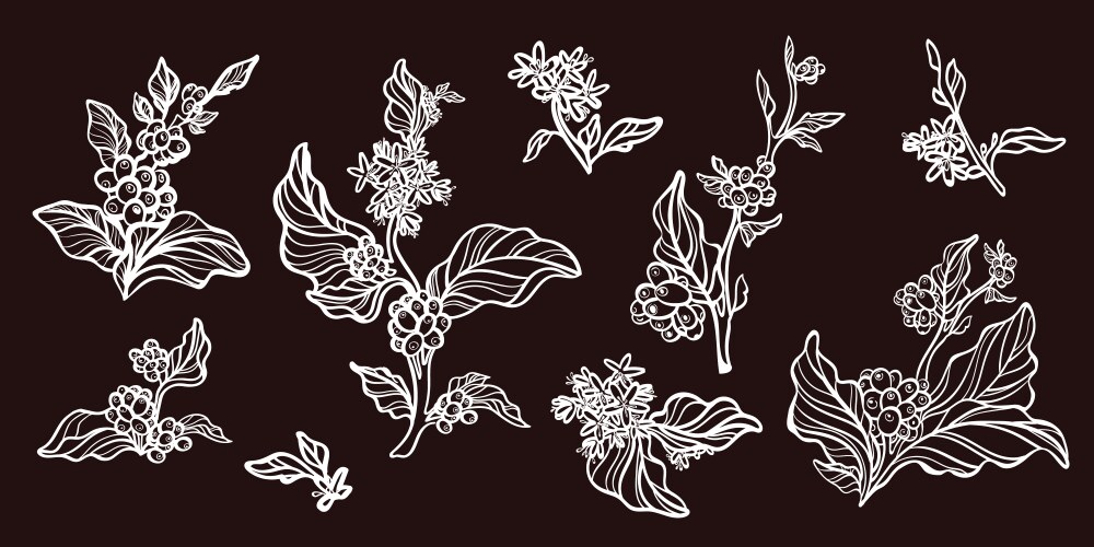 Big set of hand drawn flowers and branches Vector Image
