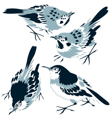 bird vector image vector image