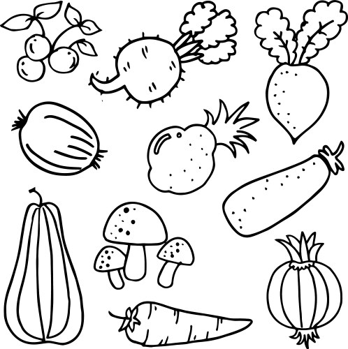 Art of vegetables doodles vector image