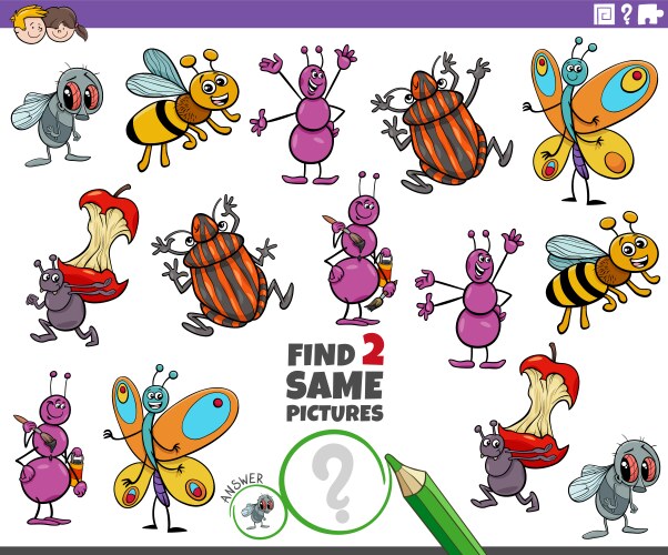 find two same cartoon insects educational activity vector image