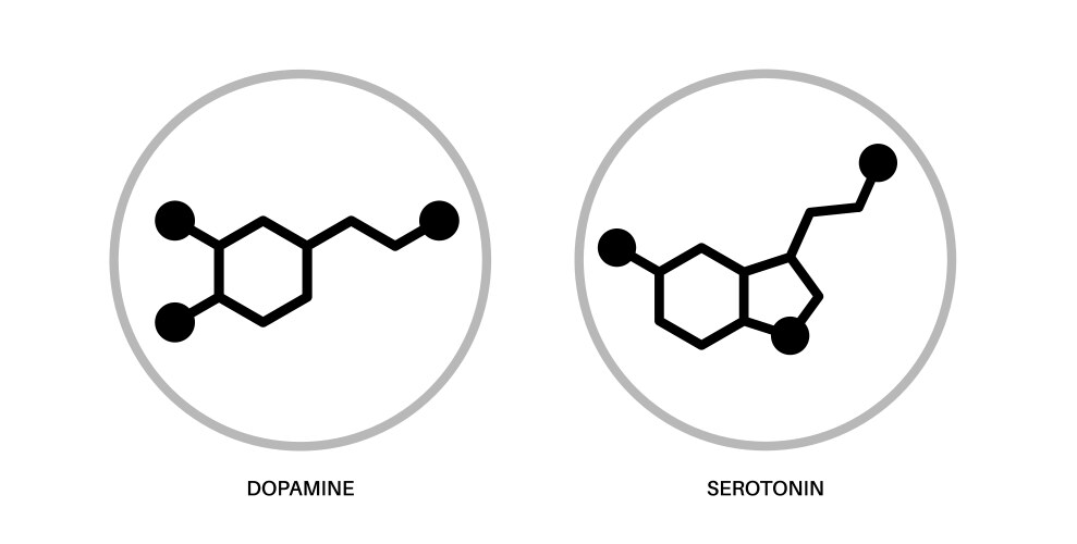 Serotonin & Dopamine Brain Pathway Royalty Free Vector