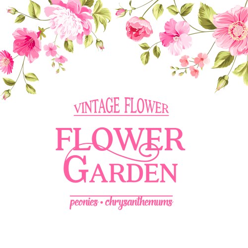 Romantic Floral Card Vector Image