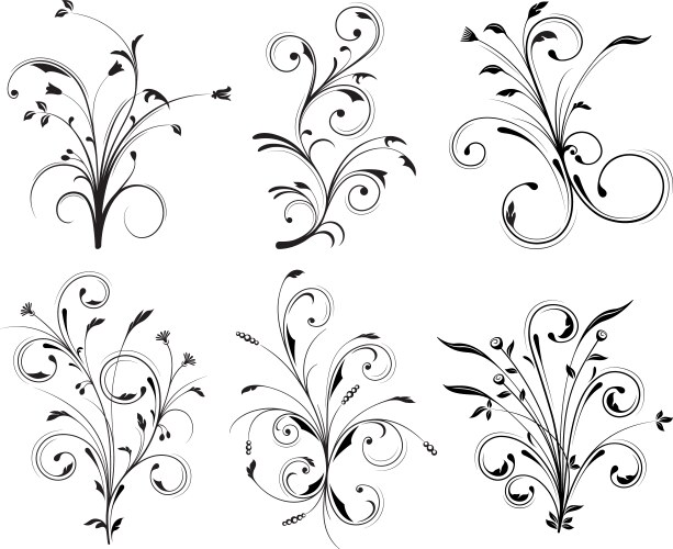 Floral decorations Royalty Free Vector Image - VectorStock