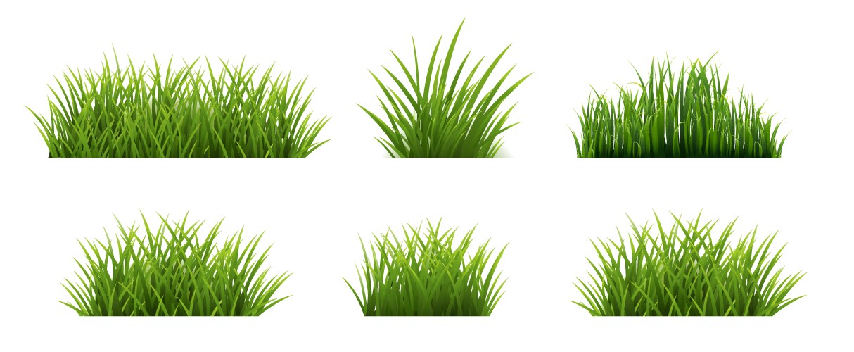 Green grass borders set isolated white background Vector Image